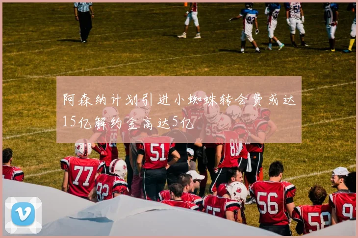 阿森纳计划引进小蜘蛛转会费或达15亿解约金高达5亿